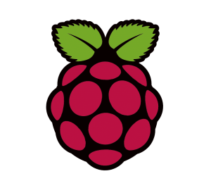 RaspberryPi logo